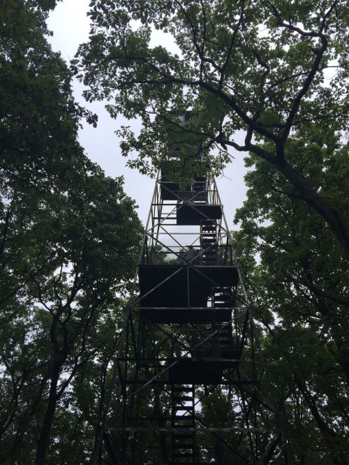 A tall metal observation tower surrounded by dense green trees under a cloudy sky.
