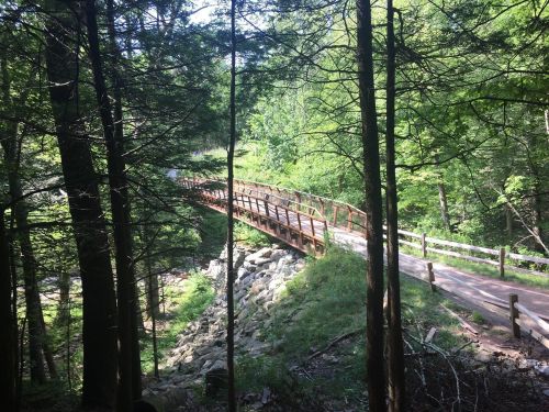 A wooden bridge spans a rocky area, surrounded by lush green trees in a serene forest setting.