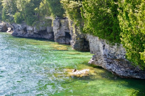 A rocky shoreline with lush greenery and clear turquoise water, creating a serene natural landscape.