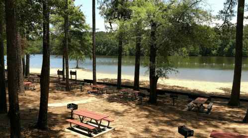 A serene lakeside scene with picnic tables under trees, sandy beach, and calm water in the background.