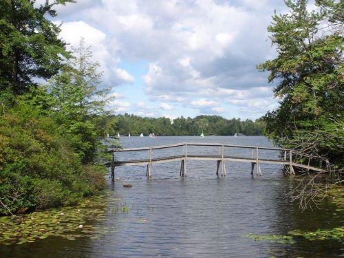 A wooden bridge over a calm lake, surrounded by trees and sailboats in the distance under a partly cloudy sky.