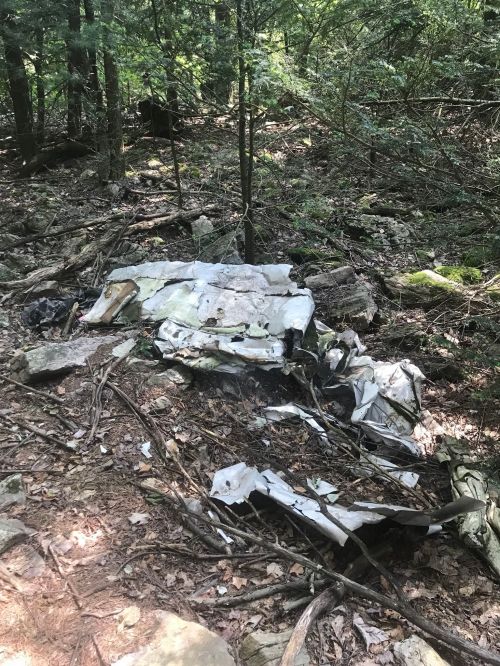 Debris from a crashed aircraft scattered on the forest floor, surrounded by trees and underbrush.