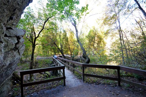 A wooden path winds through a lush forest with vibrant green trees and sunlight filtering through the leaves.