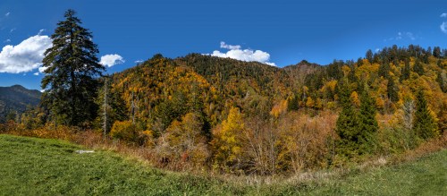 A panoramic view of vibrant autumn foliage on rolling hills under a clear blue sky with scattered clouds.