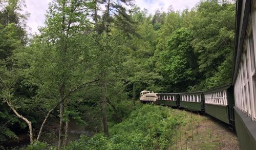 A vintage train winds through lush green trees along a riverbank in a scenic forest setting.