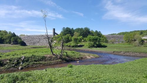 A serene landscape featuring a river, a bare tree, and a dam in the background, surrounded by lush greenery and blue skies.