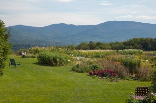 A scenic view of a lush garden with colorful flowers and mountains in the background under a clear blue sky.