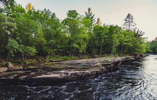 A serene riverbank surrounded by lush green trees and rocky terrain under a clear sky.