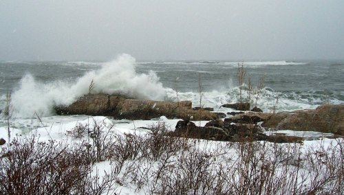 Waves crash against rocky shore under a gray, snowy sky, with sparse vegetation in the foreground.