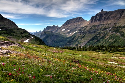 A scenic view of mountains with lush green meadows and colorful wildflowers under a blue sky with wispy clouds.