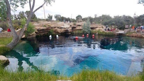A serene natural pool surrounded by trees and rocks, with colorful buoys floating on the water's surface.