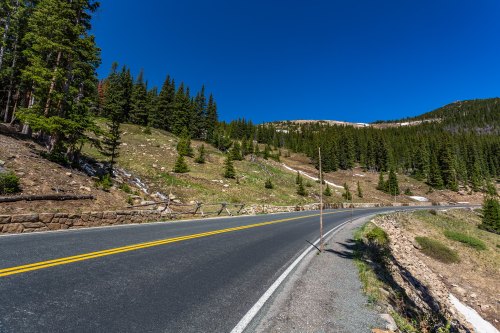 A winding road through a forested area with tall trees and a clear blue sky.