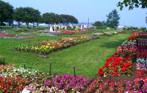 A vibrant garden filled with colorful flowers and greenery, with people walking in the background.