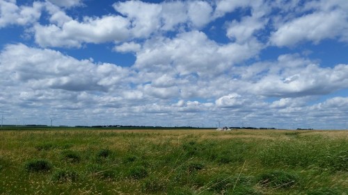 A vast landscape with green grass and a blue sky filled with fluffy white clouds, stretching to the horizon.