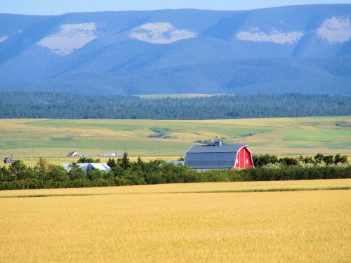 A red barn surrounded by green fields and mountains in the background under a clear blue sky.