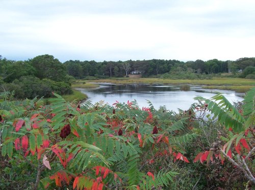 A serene landscape featuring a calm pond surrounded by lush greenery and autumn-colored foliage under a cloudy sky.