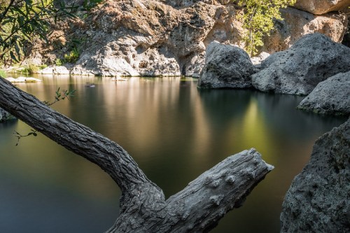 A serene landscape featuring a calm water body surrounded by large rocks and a tree branch in the foreground.