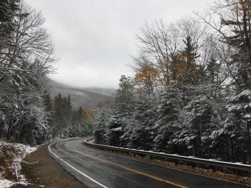 A winding road through a snowy landscape, lined with trees and a misty mountain backdrop under a gray sky.
