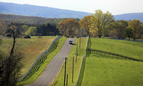 A winding road through lush green fields and trees, with rolling hills in the background under a clear sky.