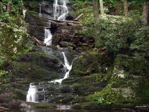 A serene waterfall cascading over moss-covered rocks, surrounded by lush greenery and trees.