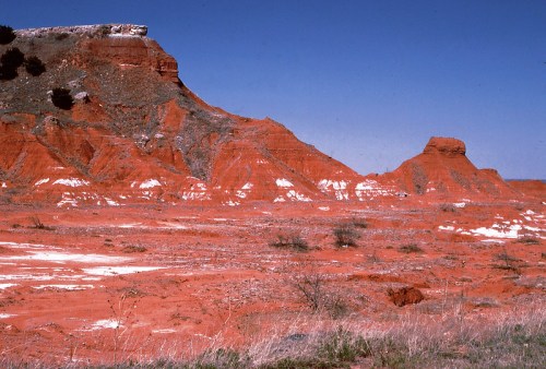 A vibrant red landscape with rocky formations and sparse vegetation under a clear blue sky.