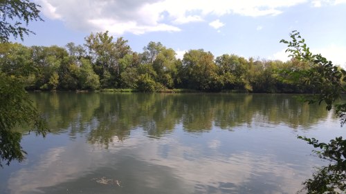 A serene river scene with trees reflecting on the water under a partly cloudy sky.