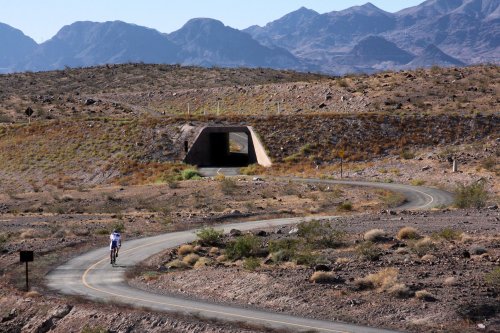 A cyclist rides along a winding road through a desert landscape, with mountains in the background and a tunnel ahead.