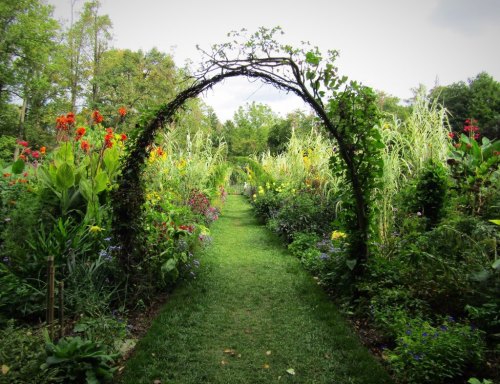 A lush garden path framed by an arch of vines, surrounded by vibrant flowers and greenery under a cloudy sky.