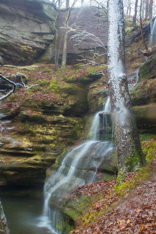 A serene waterfall cascades over mossy rocks in a forested area, surrounded by trees and autumn leaves.