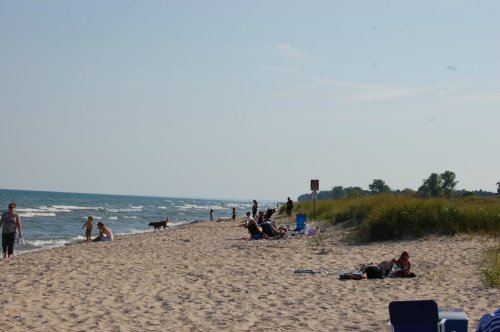 A sandy beach with people relaxing, walking, and a dog playing near the water on a sunny day.