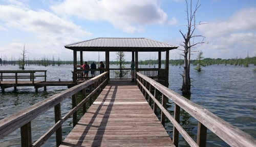A wooden pier leads to a gazebo overlooking a serene, flooded landscape with trees in the water under a blue sky.