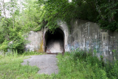 An overgrown tunnel entrance surrounded by greenery and graffiti, with a gravel path leading towards it.