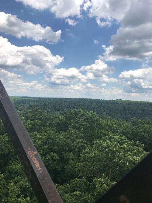 A panoramic view of lush green trees under a partly cloudy sky from a high vantage point.