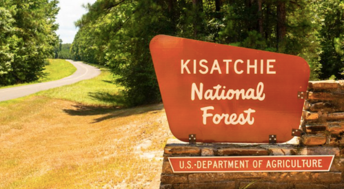 Sign for Kisatchie National Forest, with a scenic road and lush greenery in the background.