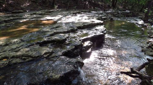 A serene stream flows over rocky terrain, surrounded by lush greenery and dappled sunlight in a forested area.