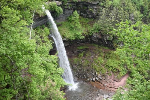 A waterfall cascades down a rocky cliff surrounded by lush green trees and foliage.