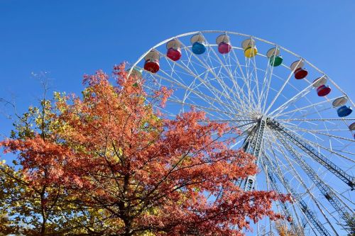 A colorful Ferris wheel against a clear blue sky, with vibrant autumn leaves in the foreground.