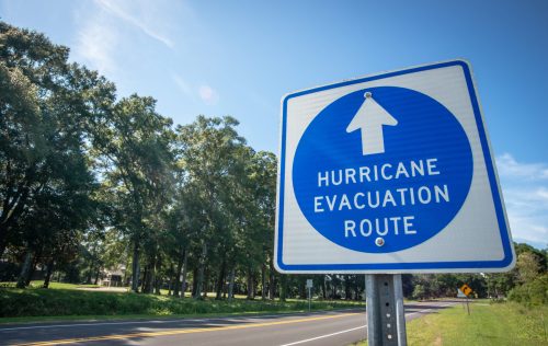 A blue sign indicating a hurricane evacuation route, with an upward arrow, set against a clear sky and tree-lined road.