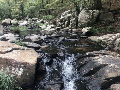 A serene stream flows over rocks in a wooded area, surrounded by lush greenery and large boulders.