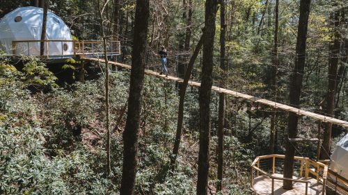 A person walks on a wooden bridge connecting two dome structures in a lush forest setting.