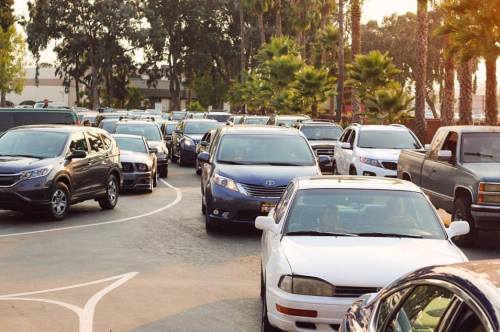 A busy parking lot filled with various cars, surrounded by palm trees and greenery in the background.