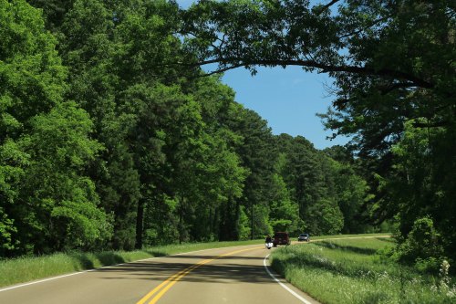 A winding road surrounded by lush green trees under a clear blue sky. Two vehicles are driving along the road.