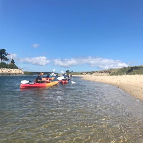 Two kayakers paddle along a calm shoreline under a clear blue sky, with a sandy beach in the background.
