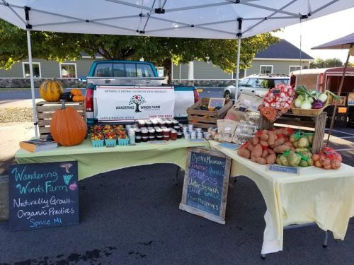 A farm stand under a tent displays pumpkins, jars of preserves, and various fresh vegetables at a market.