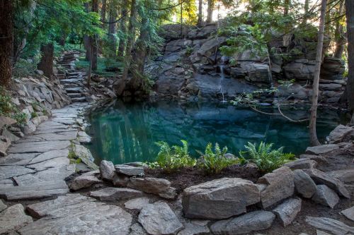 A serene forest scene featuring a rocky path leading to a tranquil pond surrounded by lush greenery and trees.