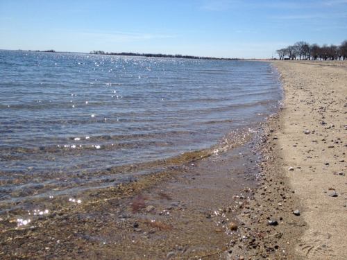 A serene beach scene with gentle waves lapping at the shore under a clear blue sky. Sparkling water and sandy beach visible.