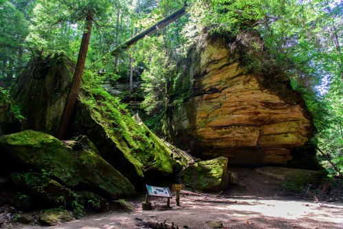 A lush forest scene featuring large moss-covered rocks and a sign, surrounded by tall trees and greenery.