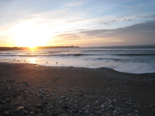 Sunset over a beach with gentle waves and seagulls, casting a warm glow on the shoreline and clouds.