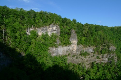 Lush green forest covers rocky cliffs under a clear blue sky, showcasing a serene natural landscape.