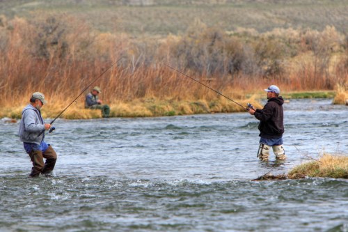 Two men fishing in a river, standing in the water, with a third person visible in the background among the trees.